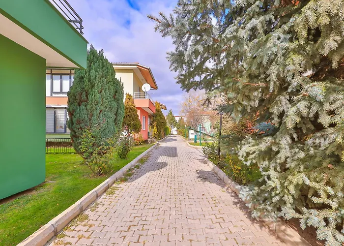 Afyon Dundar Thermal Villa