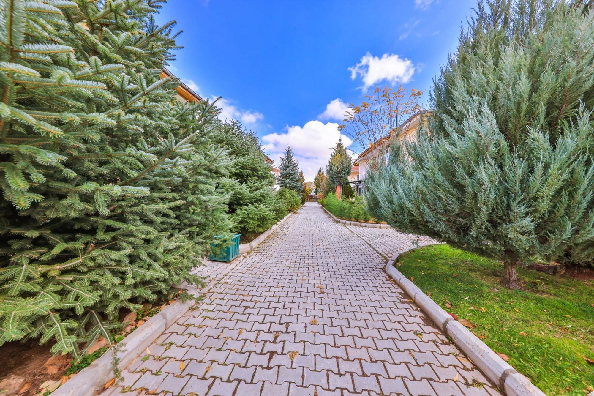 Afyon Dundar Thermal