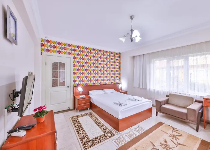 Afyon Dundar Thermal Villa